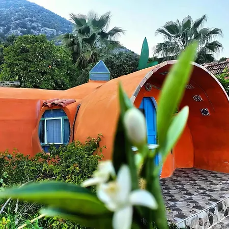 Alojamento de Turismo Selvagem Heredot's House *