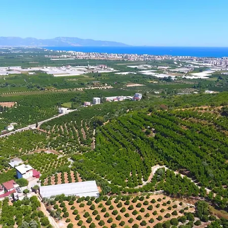 Cabană Heredot's House Finike