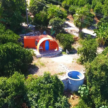 Heredot's House فينيقيه