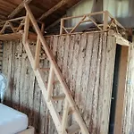Heredot's House